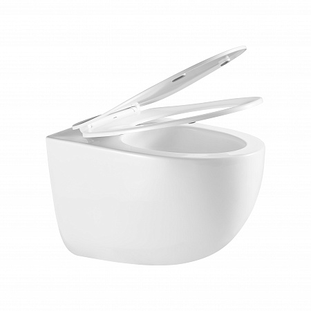 Подвесной унитаз безободковый Terminus Енисей Monolit 560х390 белый Кострома - фото 7 Подвесной унитаз безободковый Terminus Енисей Monolit 560х390 белый Кострома - фото 7