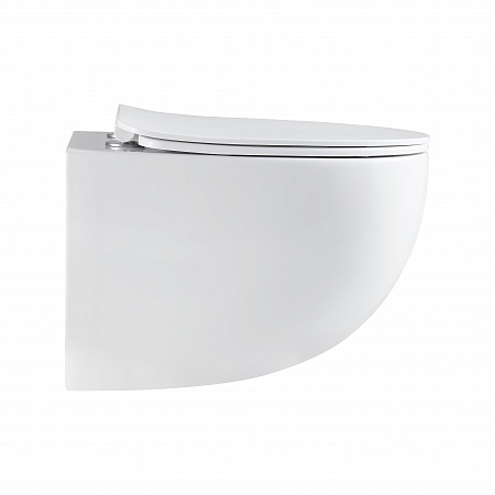 Подвесной унитаз безободковый Terminus Енисей Monolit 560х390 белый Кострома - фото 4 Подвесной унитаз безободковый Terminus Енисей Monolit 560х390 белый Кострома - фото 4