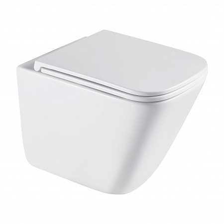 Подвесной унитаз безободковый Terminus Ватикан Monolit 490х340 белый Кострома - фото 2 Подвесной унитаз безободковый Terminus Ватикан Monolit 490х340 белый Кострома - фото 2