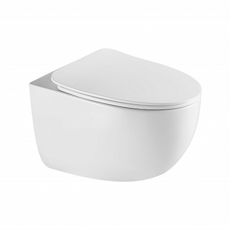 Подвесной унитаз безободковый Terminus Енисей Monolit 560х390 белый Кострома - фото 2 Подвесной унитаз безободковый Terminus Енисей Monolit 560х390 белый Кострома - фото 2